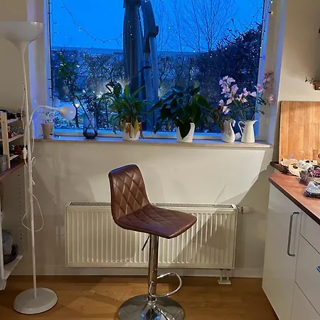 Scandi Serenity Spot *